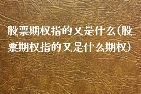 股票期权指的又是什么(股票期权指的又是什么期权)_https://www.liuyiidc.com_期货交易所_第1张