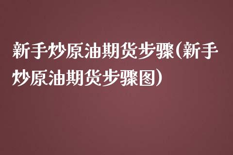 新手炒原油期货步骤(新手炒原油期货步骤图)_https://www.liuyiidc.com_期货交易所_第1张