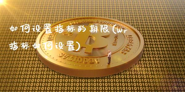 如何设置指标的期限(wr指标如何设置)_https://www.liuyiidc.com_国际期货_第1张