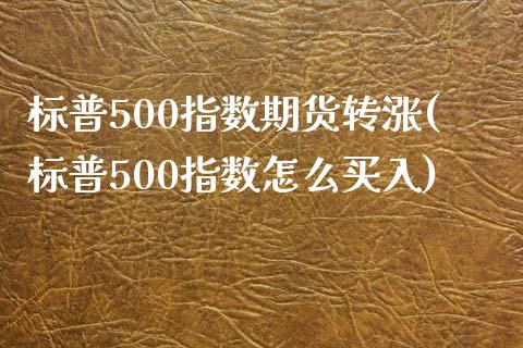 标普500指数期货转涨(标普500指数怎么买入)_https://www.liuyiidc.com_基金理财_第1张