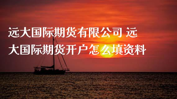 远大国际期货有限 远大国际期货怎么填资料_https://www.liuyiidc.com_理财百科_第1张