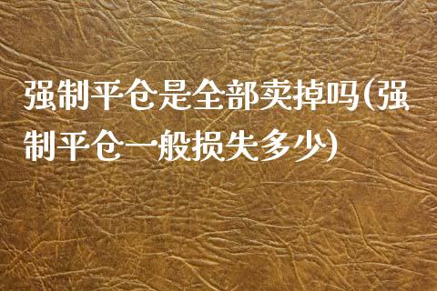 强制平仓是全部卖掉吗(强制平仓一般损失多少)_https://www.liuyiidc.com_期货知识_第1张