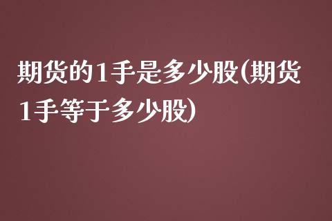 期货的1手是多少股(期货1手等于多少股)