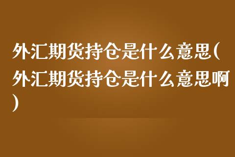 外汇期货持仓是什么意思(外汇期货持仓是什么意思啊)_https://www.liuyiidc.com_期货软件_第1张