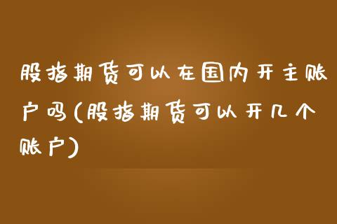 股指期货可以在国内开主账户吗(股指期货可以开几个账户)_https://www.liuyiidc.com_财经要闻_第1张