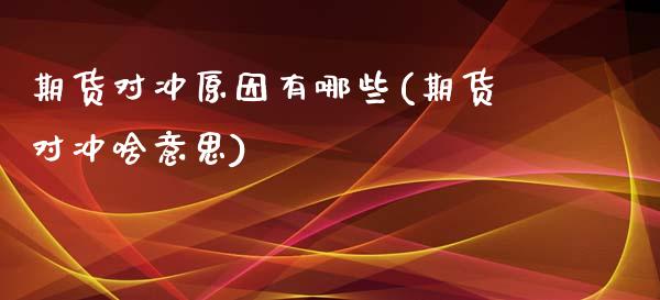 期货对冲原因有哪些(期货对冲啥意思)_https://www.liuyiidc.com_理财百科_第1张