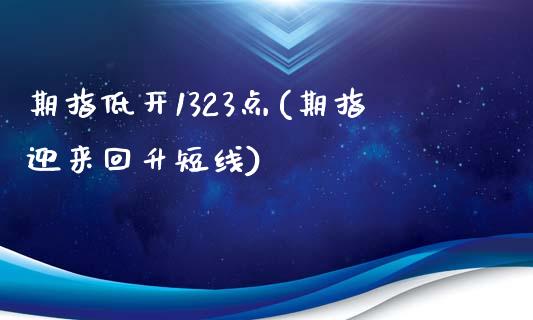 期指低开1323点(期指迎来回升短线)_https://www.liuyiidc.com_期货理财_第1张