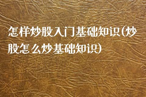 怎样炒股入门基础知识(炒股怎么炒基础知识)_https://www.liuyiidc.com_期货品种_第1张