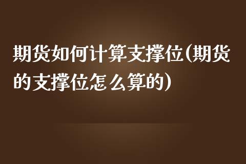 期货如何计算支撑位(期货的支撑位怎么算的)_https://www.liuyiidc.com_期货理财_第1张