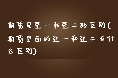 期货里豆一和豆二的区别(期货里面的豆一和豆二有什么区别)_https://www.liuyiidc.com_国际期货_第1张