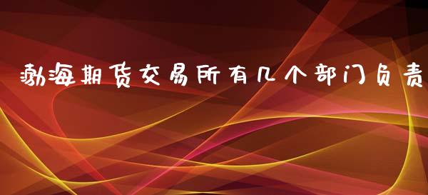 渤海期货交易所有几个部门负责_https://www.liuyiidc.com_基金理财_第1张