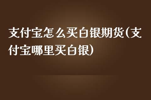 支付宝怎么买白银期货(支付宝哪里买白银)_https://www.liuyiidc.com_期货品种_第1张