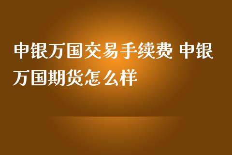 申银万国交易手续费 申银万国期货怎么样_https://www.liuyiidc.com_理财百科_第1张