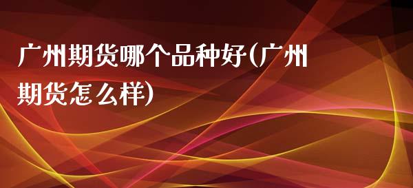 广州期货哪个品种好(广州期货怎么样)_https://www.liuyiidc.com_期货知识_第1张