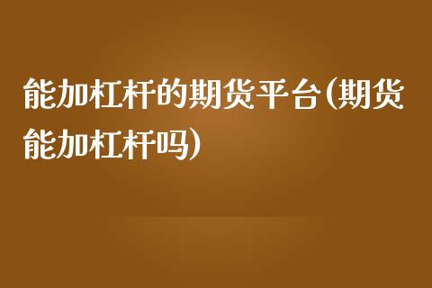 能加杠杆的期货平台(期货能加杠杆吗)_https://www.liuyiidc.com_理财品种_第1张