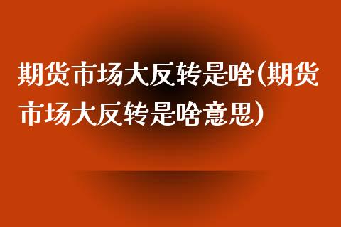 期货市场大反转是啥(期货市场大反转是啥意思)_https://www.liuyiidc.com_黄金期货_第1张