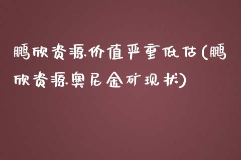 鹏欣资源价值严重低估(鹏欣资源奥尼金矿现状)_https://www.liuyiidc.com_理财品种_第1张