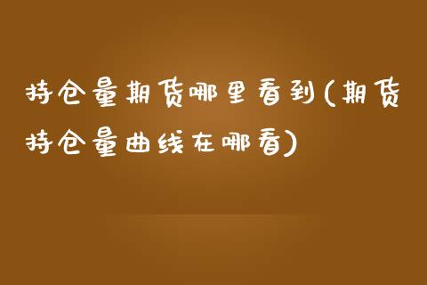 持仓量期货哪里看到(期货持仓量曲线在哪看)_https://www.liuyiidc.com_恒生指数_第1张