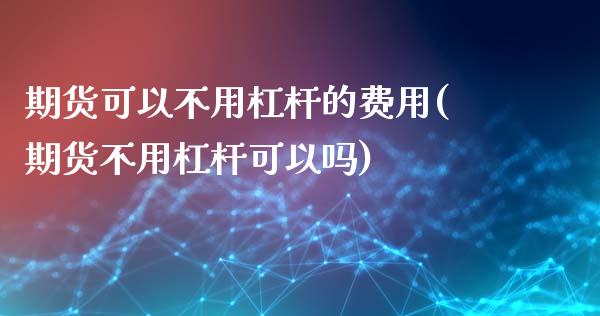 期货可以不用杠杆的费用(期货不用杠杆可以吗)_https://www.liuyiidc.com_基金理财_第1张