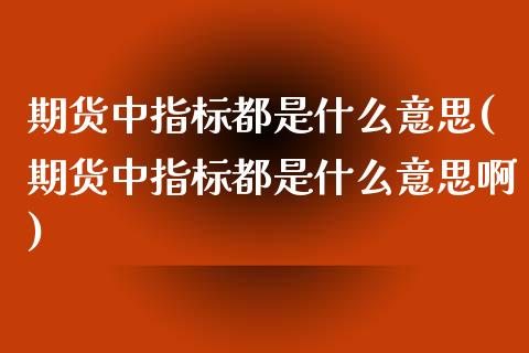 期货中指标都是什么意思(期货中指标都是什么意思啊)_https://www.liuyiidc.com_期货品种_第1张