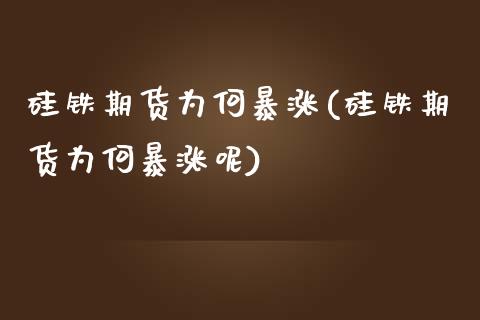 硅铁期货为何暴涨(硅铁期货为何暴涨呢)_https://www.liuyiidc.com_国际期货_第1张