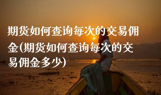 期货如何查询每次的交易佣金(期货如何查询每次的交易佣金多少)_https://www.liuyiidc.com_期货交易所_第1张