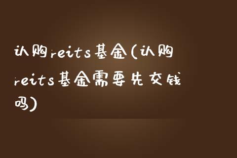 reits基金(reits基金需要先交钱吗)_https://www.liuyiidc.com_基金理财_第1张