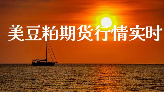 美豆粕期货行情实时_https://www.liuyiidc.com_黄金期货_第1张