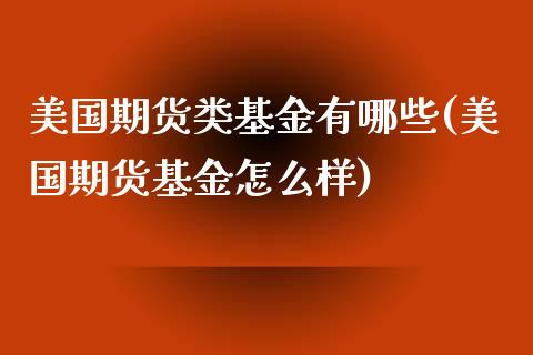 美国期货类基金有哪些(美国期货基金怎么样)_https://www.liuyiidc.com_期货知识_第1张