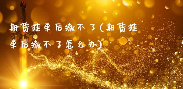 期货挂单后撤不了(期货挂单后撤不了怎么办)_https://www.liuyiidc.com_股票理财_第1张