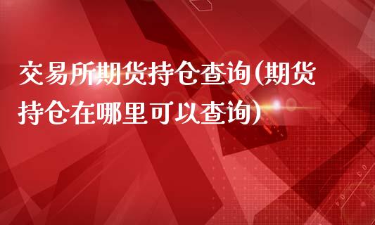 交易所期货持仓查询(期货持仓在哪里可以查询)_https://www.liuyiidc.com_国际期货_第1张