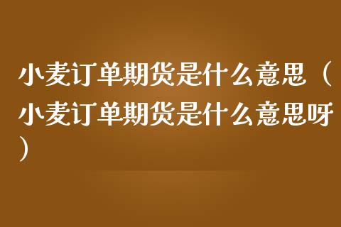 小麦订单期货是什么意思（小麦订单期货是什么意思呀）_https://www.liuyiidc.com_道指直播_第1张