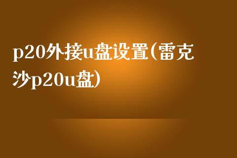 p20外接u盤設置雷克沙p20u盤