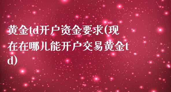 黄金td开户资金要求(现在在哪儿能开户交易黄金td)_https://www.liuyiidc.com_国际期货_第1张