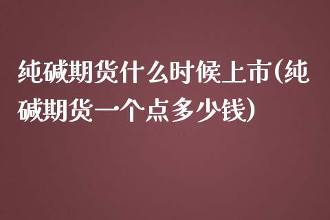 纯碱期货什么时候上市(纯碱期货一个点多少钱)_https://www.liuyiidc.com_理财百科_第1张