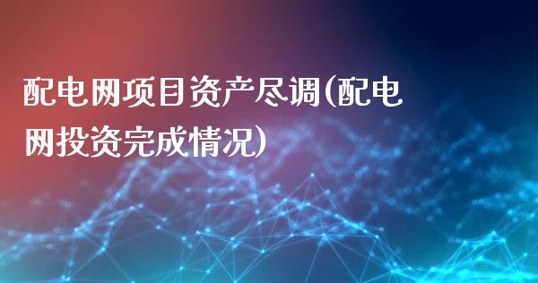 配电网项目资产尽调(配电网投资完成情况)_https://www.liuyiidc.com_理财品种_第1张