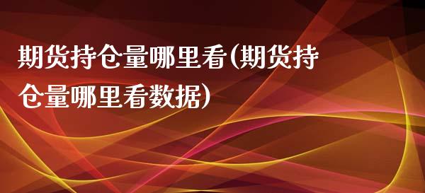 期货持仓量哪里看(期货持仓量哪里看数据)_https://www.liuyiidc.com_期货品种_第1张