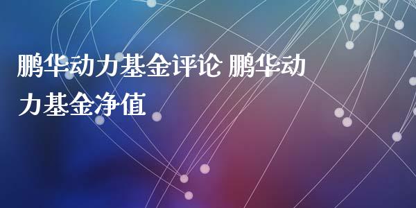 鹏华动力论 鹏华动力基金净值_https://www.liuyiidc.com_基金理财_第1张