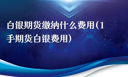 白银期货缴纳什么费用(1手期货白银费用)_https://www.liuyiidc.com_期货品种_第1张