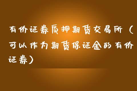 有价证券质押期货交易所（可以作为期货保证金的有价证券）_https://www.liuyiidc.com_期货交易所_第1张