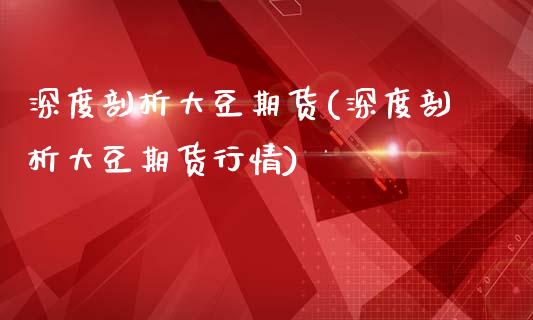 深度剖析大豆期货(深度剖析大豆期货行情)_https://www.liuyiidc.com_股票理财_第1张