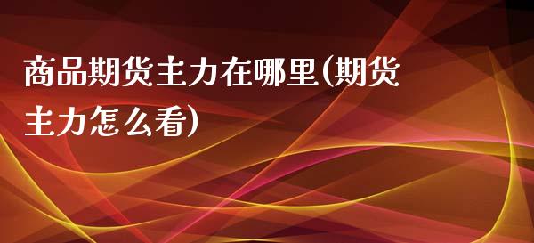 商品期货主力在哪里(期货主力怎么看)_https://www.liuyiidc.com_期货品种_第1张