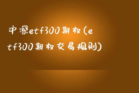 沪深etf300期权(etf300期权交易规则)_https://www.liuyiidc.com_理财百科_第1张