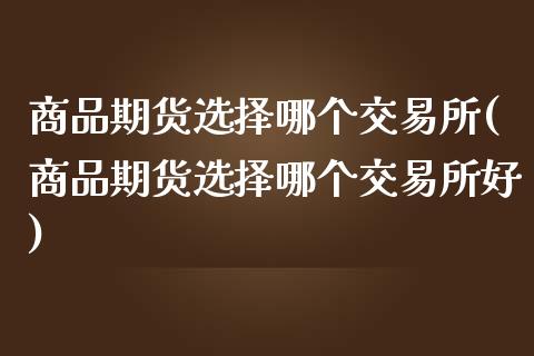 商品期货选择哪个交易所(商品期货选择哪个交易所好)_https://www.liuyiidc.com_国际期货_第1张