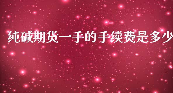 纯碱期货一手的手续费是多少_https://www.liuyiidc.com_期货软件_第1张