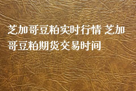 芝加哥豆粕实时行情 芝加哥豆粕期货交易时间_https://www.liuyiidc.com_期货理财_第1张