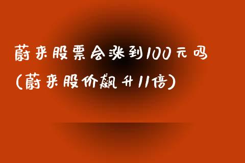 蔚来股票会涨到100元吗(蔚来股价飙升11倍)_https://www.liuyiidc.com_股票理财_第1张