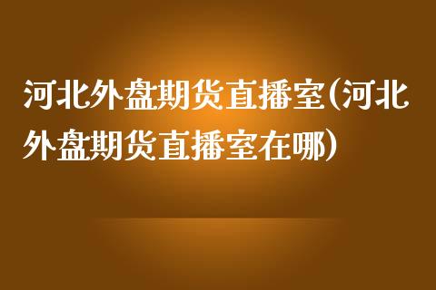 河北外盘期货直播室(河北外盘期货直播室在哪)_https://www.liuyiidc.com_期货交易所_第1张