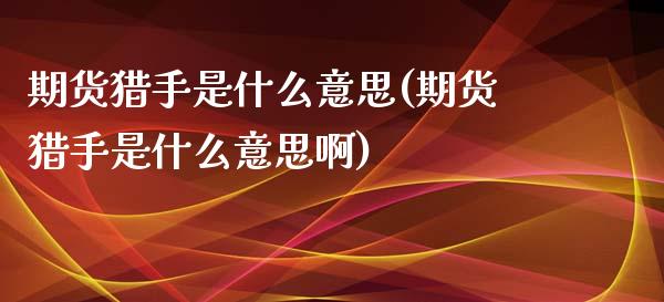 期货猎手是什么意思(期货猎手是什么意思啊)_https://www.liuyiidc.com_基金理财_第1张