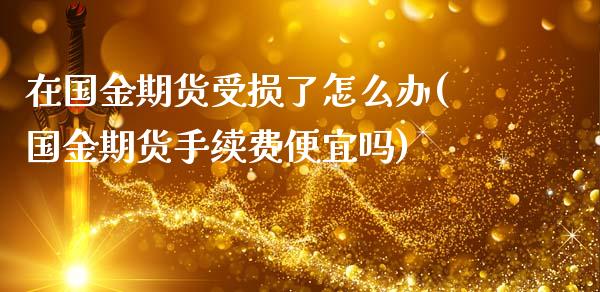 在国金期货受损了怎么办(国金期货手续费便宜吗)_https://www.liuyiidc.com_期货软件_第1张